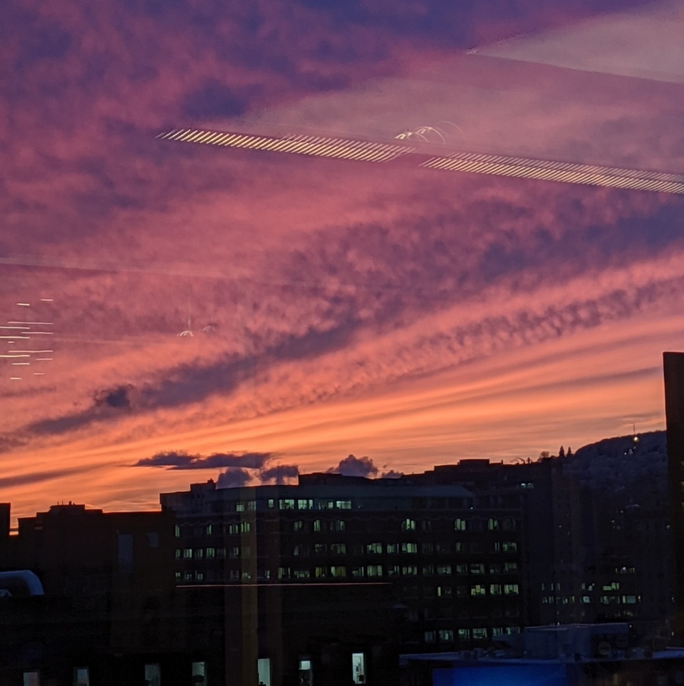 Meet your Posher, Fanny